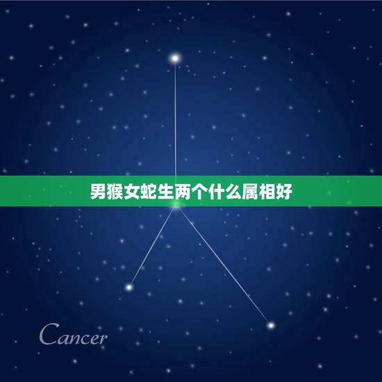 男猴女蛇生两个什么属相好，属蛇的男性与属猴的女性结婚生什么属相的孩子好