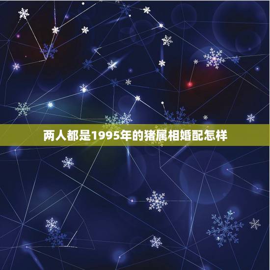 两人都是1995年的猪属相婚配怎样,95年属猪的和什么属相最配 两人都是1995年的猪属相婚配怎样,95年属猪的和什么属相最配