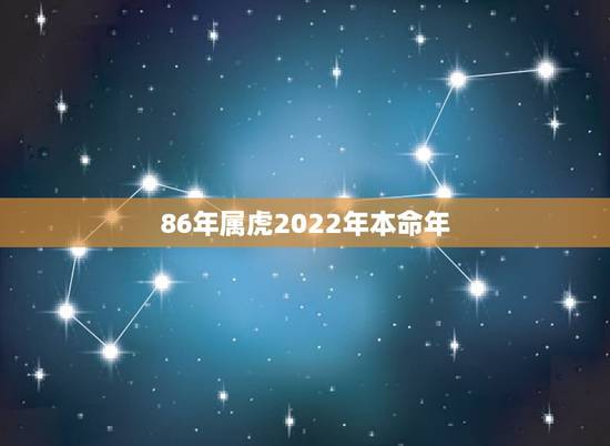 86年属虎2022年本命年 86虎男2022年的运势 86年属虎2022年本命年 86虎男2022年的运势