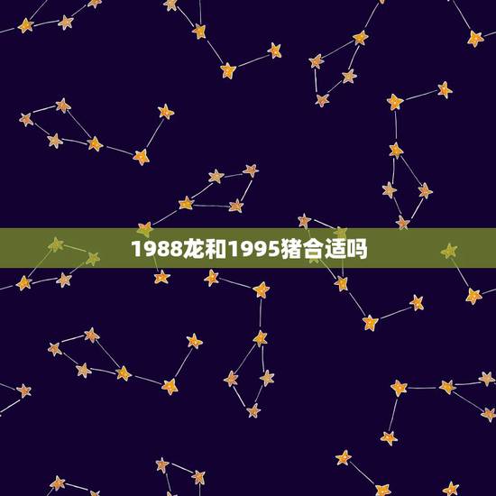 1988龙和1995猪合适吗，1988女龙和1995男猪配嘛
