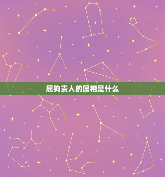 属狗贵人的属相是什么,属鼠的人今年和什么属相犯克犯冲 属狗贵人的属相是什么,属鼠的人今年和什么属相犯克犯冲