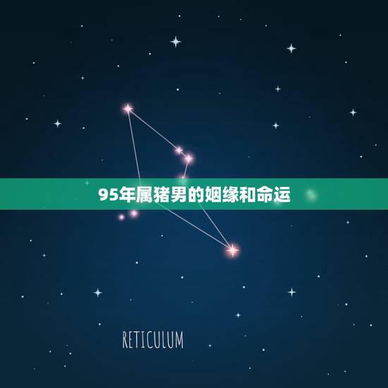 95年属猪男的姻缘和命运，71年属猪女更佳婚配