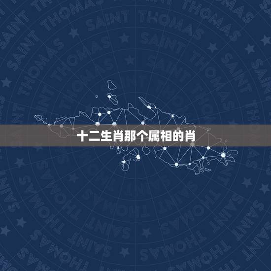 十二生肖那个属相的肖,十二生肖什么肖属于水肖 十二生肖那个属相的肖,十二生肖什么肖属于水肖