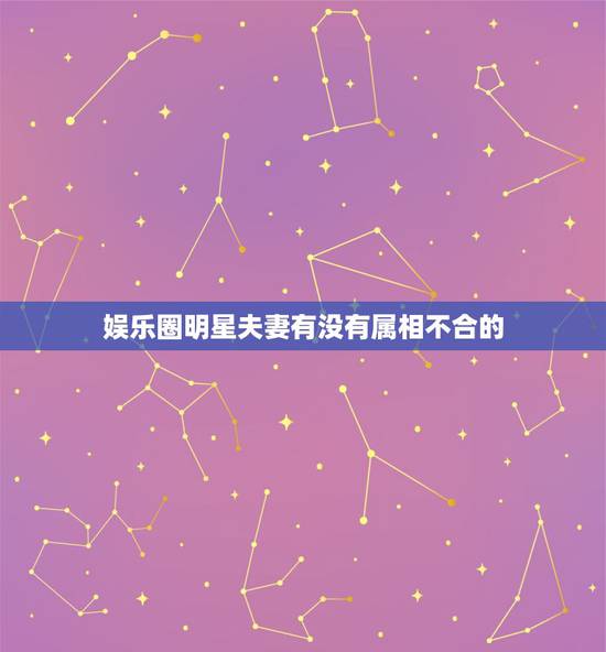 娱乐圈明星夫妻有没有属相不合的，娱乐圈中，哪些明星夫妻相爱相杀的婚姻太