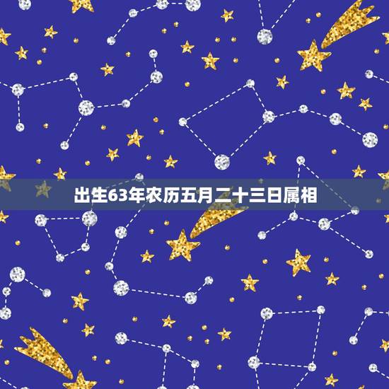 出生63年农历五月二十三日属相，属猪的几点出生有福气