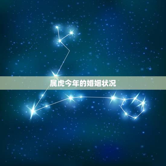 属虎今年的婚姻状况,生肖虎的爱情婚姻配对 属虎今年的婚姻状况,生肖虎的爱情婚姻配对