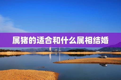 属猪的适合和什么属相结婚，属兔男和属龙女相配吗