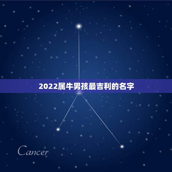 2022属牛男孩最吉利的名字，2021属牛男宝宝取名