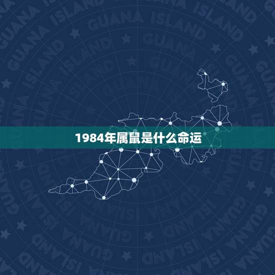1984年属鼠是什么命运，1984年天平属鼠是人生命运如何