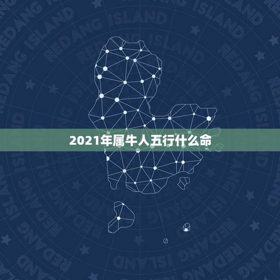 2021年属牛人五行什么命，2021年什么命