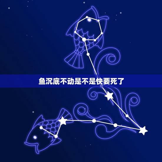 鱼沉底不动是不是快要死了，我的金鱼一直沉在水底不动怎么回事？是不是快死