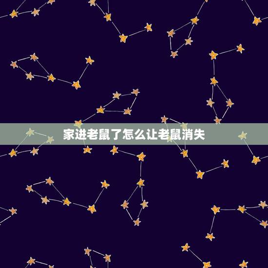 家进老鼠了怎么让老鼠消失,家里有老鼠怎么赶走 家进老鼠了怎么让老鼠消失,家里有老鼠怎么赶走