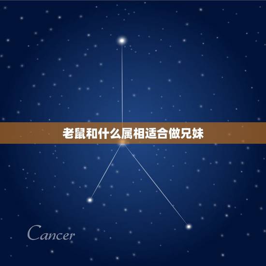 老鼠和什么属相适合做兄妹,十二生肖中谁的兄妹多 老鼠和什么属相适合做兄妹,十二生肖中谁的兄妹多