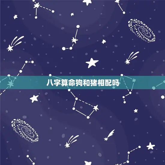 八字算命狗和猪相配吗