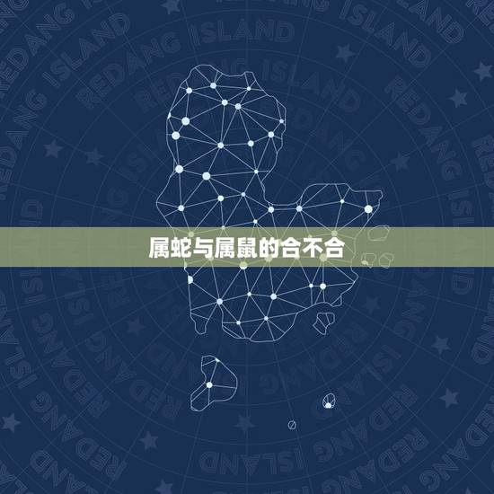 属蛇与属鼠的合不合，属蛇与属鼠相配吗