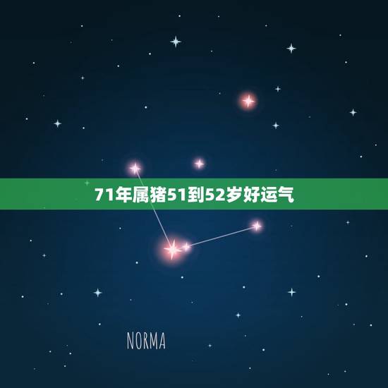 71年属猪51到52岁好运气,71年属猪50岁感情方面2023年 71年属猪51到52岁好运气,71年属猪50岁感情方面2023年