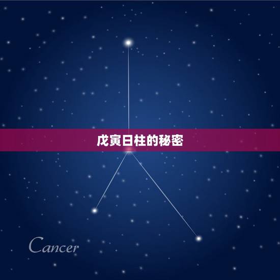 戊寅日柱的秘密，我是1970年2月8日，阴历正月初三，女，请大师帮助算