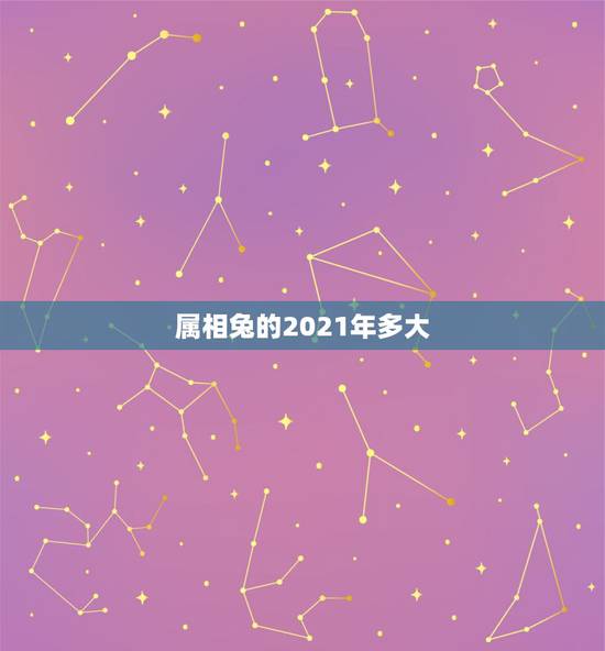 属相兔的2021年多大,2021年属兔的多大年龄? 属相兔的2021年多大,2021年属兔的多大年龄?