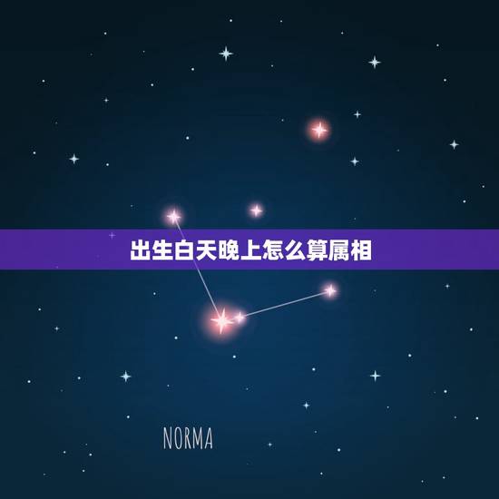 出生白天晚上怎么算属相，根据出生年龄怎样算出属相呢