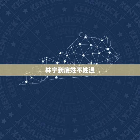 林宁到底姓不姓温，一部小说，以前看的，主角应该叫林宁吧，还成立了一个主