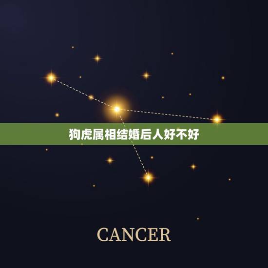 狗虎属相结婚后人好不好，属狗和属虎结婚属相相配么？