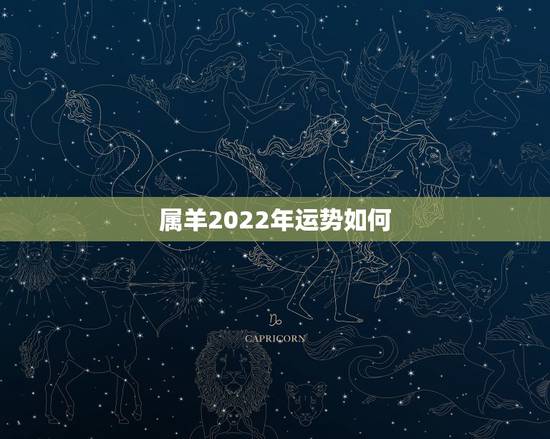 属羊2022年运势如何，生肖狗2023年运势大全