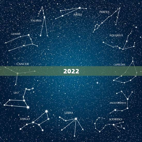 2022 年属羊是什么命人,2022 年五月的羊是什么命 2022 年属羊是什么命人,2022 年五月的羊是什么命