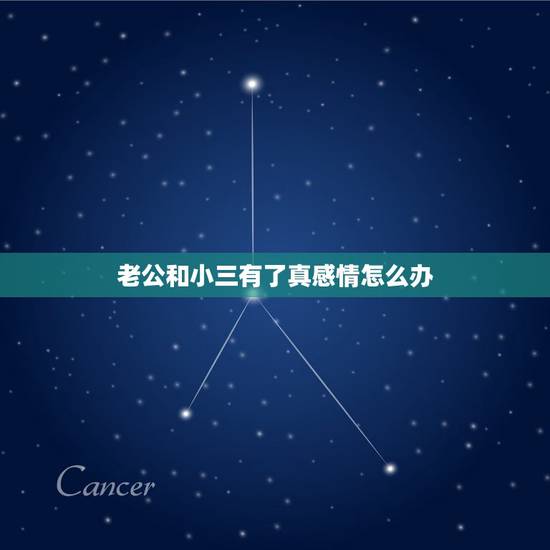 老公和小三有了真感情怎么办,男人对小三有了感情怎么办? 老公和小三有了真感情怎么办,男人对小三有了感情怎么办?