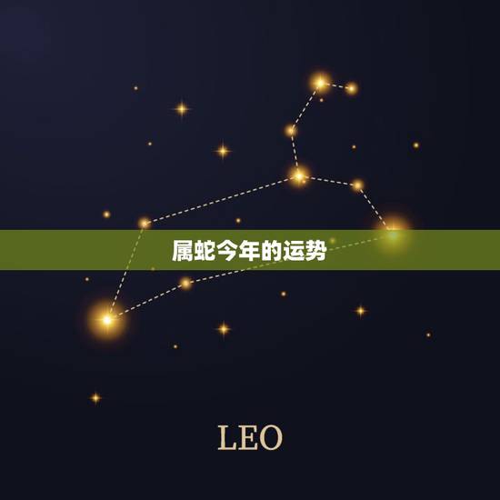 属蛇今年的运势,属蛇今年运程每月运势 属蛇今年的运势,属蛇今年运程每月运势