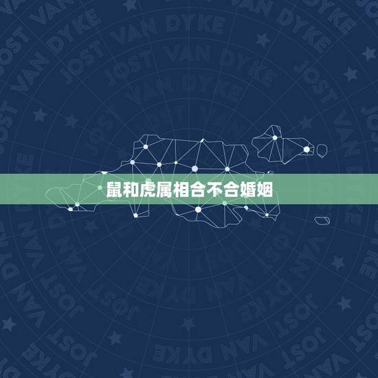 鼠和虎属相合不合婚姻，98年的女虎是否克96年的男鼠，老妈说，我们村里