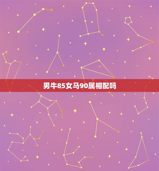 男牛85女马90属相配吗，男85年牛和女90年马合不合