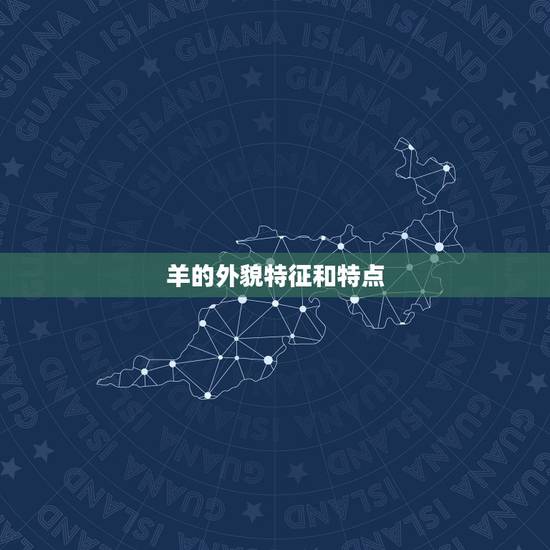 羊的外貌特征和特点，泰迪的特点和外貌特征