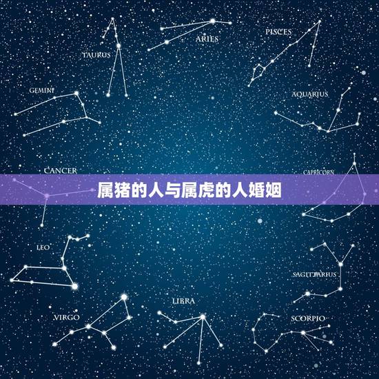 属猪的人与属虎的人婚姻,1986虎男和1995猪女 属猪的人与属虎的人婚姻,1986虎男和1995猪女