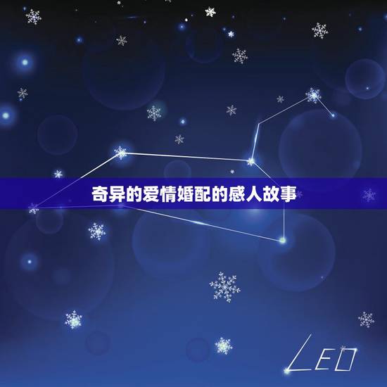 奇异的爱情婚配的感人故事，感动到哭的爱情故事