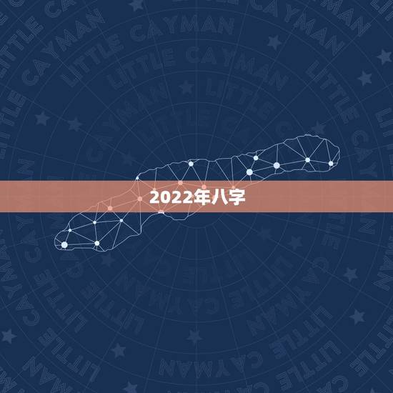 2022年八字，这个八字算命2022年运势怎么样？