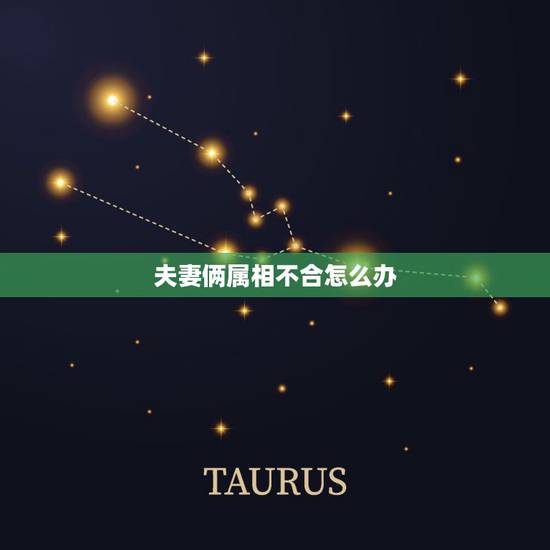 夫妻俩属相不合怎么办，属相不合真的害死人了