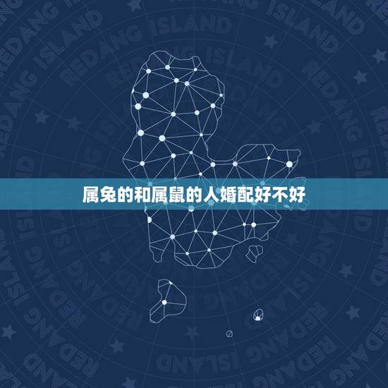 属兔的和属鼠的人婚配好不好，60年鼠和63年兔婚配好不好