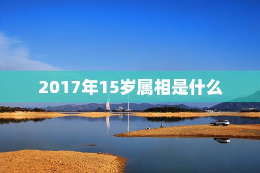 2017年15岁属相是什么，2017年属什么生肖