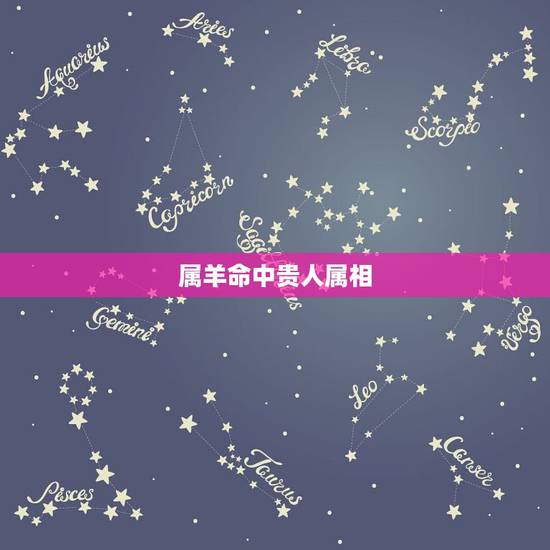 属羊命中贵人属相，属羊人2022 年全年运势
