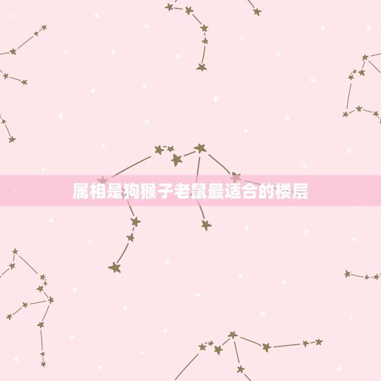 属相是狗猴子老鼠最适合的楼层，选楼房各个属相应住几层