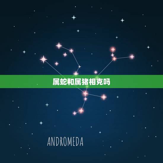 属蛇和属猪相克吗,属猪是属蛇的克星吗 属蛇和属猪相克吗,属猪是属蛇的克星吗