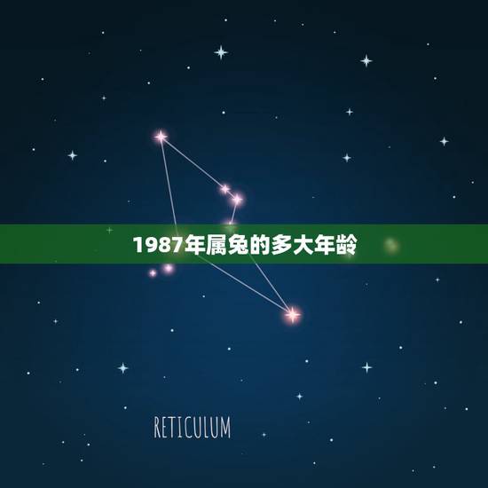 1987年属兔的多大年龄,1987年属兔2022 年运势 1987年属兔的多大年龄,1987年属兔2022 年运势