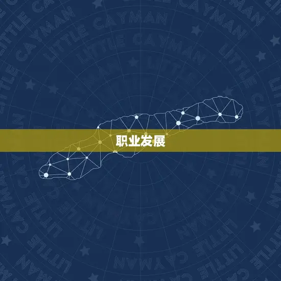 职业发展 职业发展