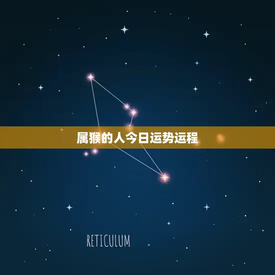 属猴的人今日运势运程