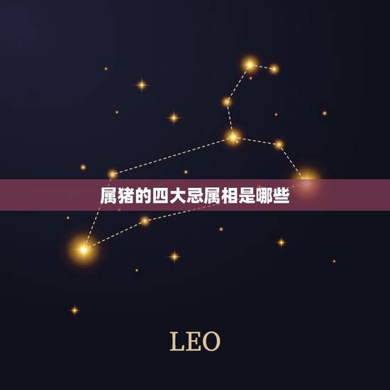 属猪的四大忌属相是哪些,1995属猪的三大坎 属猪的四大忌属相是哪些,1995属猪的三大坎