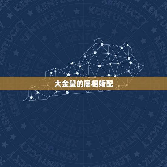 大金鼠的属相婚配，属老鼠和什么属相相配？