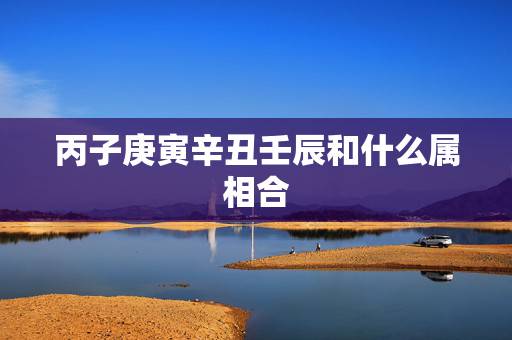 丙子庚寅辛丑壬辰和什么属相合,高分合八字算婚姻!不会采纳电脑算的~谢谢 丙子庚寅辛丑壬辰和什么属相合,高分合八字算婚姻!不会采纳电脑算的~谢谢