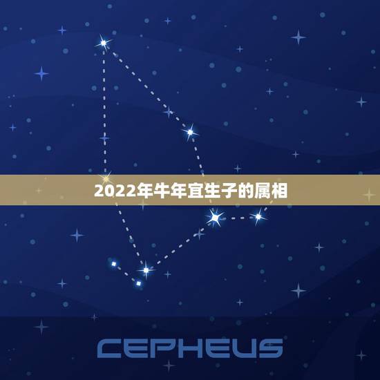 2022年牛年宜生子的属相，癸亥日2022年怀孕生子