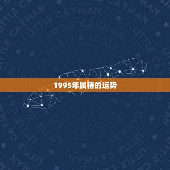 1995年属猪的运势，95年属猪男2015年每月运势