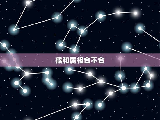 猴和属相合不合,属猴和属猴的合不合 猴和属相合不合,属猴和属猴的合不合